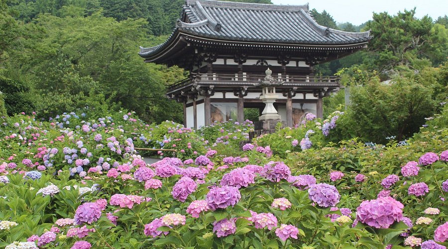 🌸 보타락산 관음사 대성원 (후다라쿠산 칸논지 다이쇼인) 이미지 1